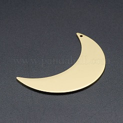 201 Stainless Steel Pendants&nbsp;STAS-R111-LA204