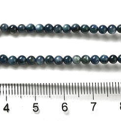 Natural Freshwater Shell Beads Strands&nbsp;X-SHEL-H003-03C