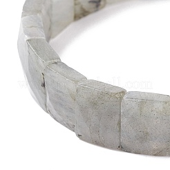 Natural Labradorite Stretch Bracelets&nbsp;BJEW-F406-B19