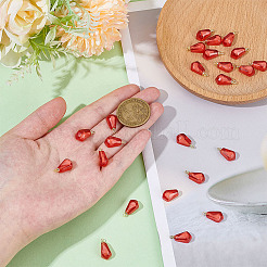 24Pcs Transparent Resin Pendants&nbsp;RESI-ME0001-20B
