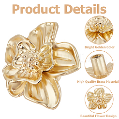 Zinc Alloy Drawer Knob&nbsp;FIND-WH20019-15A