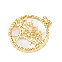 Natural White Shell Pendants&nbsp;KK-P339-03G