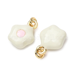 Brass Enamel Pendants&nbsp;LS-KK-CJC21A4-01G-05-RS