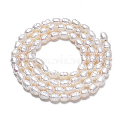 Natural Cultured Freshwater Pearl Beads Strands&nbsp;PEAR-N012-03B