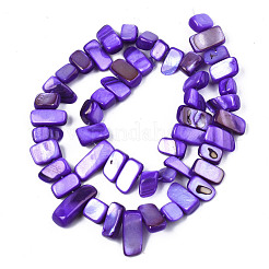 Natural Trochid Shell/Trochus Shell Beads Strands&nbsp;SHEL-S258-082-B02