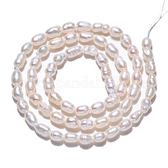 Natural Cultured Freshwater Pearl Beads Strands&nbsp;X1-PEAR-N012-03D