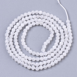 Natural Rainbow Moonstone Beads Strands&nbsp;LS-G-R462-032A