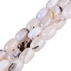 Natural Agate Beads Strands&nbsp;G-Q606-97B-04