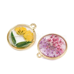 Alloy Epoxy Resin Pendants&nbsp;FIND-Z114-01G-05