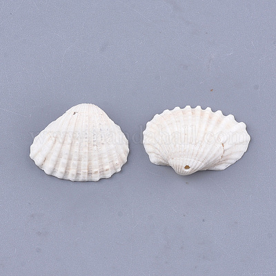 Clam Shell Pendants&nbsp;SSHEL-S258-60-1