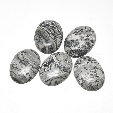 Natural Black Silk Stone/Netstone Cabochons&nbsp;G-R004-15A-1