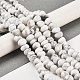 Natural Howlite Beads Strands&nbsp;G-G053-C09-01-2