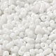 Baking Paint Glass Seed Beads&nbsp;SEED-K009-01A-25-3