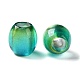 Painted Acrylic Beads&nbsp;OACR-Z010-03C-2