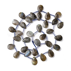 Natural Labradorite Beads Strands&nbsp;G-L654-K02-01