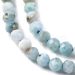 Natural Larimar Beads Strands&nbsp;G-F785-B01-01