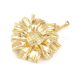 Brass Pendants&nbsp;KK-Z145-07G-01