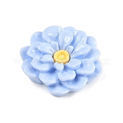 Opaque Resin Cabochons&nbsp;CRES-D283-01E