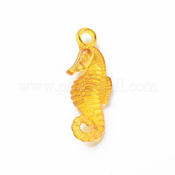 Transparent Acrylic Pendants&nbsp;MACR-N013-042