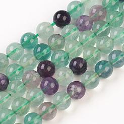 Natural Fluorite Bead Strands&nbsp;G-D840-56-8mm-AB