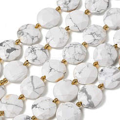 Natural Howlite Beads Strands&nbsp;G-A292-A03-01