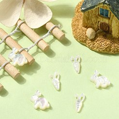 6Pcs 2 Styles Natural White Shell Beads&nbsp;BSHE-CJ0001-05