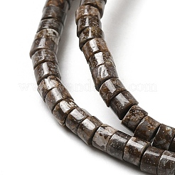 Natural Snowflake Obsidian Beads Strands&nbsp;G-E612-A07