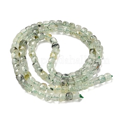 Natural Prehnite Beads Strands&nbsp;G-D0003-B03