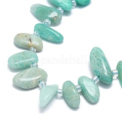 Natural Amazonite Beads Strands&nbsp;G-G106-J03-01