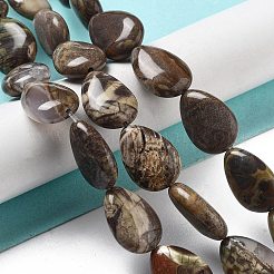 Natural Wealth Stone Beads Strands&nbsp;G-P528-L04-01