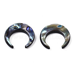 Natural Paua Shell/Abalone Shell Beads&nbsp;SSHEL-Q312-002