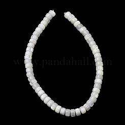 Natural Trochid Shell/Trochus Shell Beads Strands&nbsp;SH-CBA2978-18B