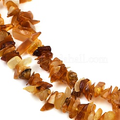 Natural Amber Chip Beads Strands&nbsp;G-E271-81-01