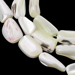 Natural Trochid Shell/Trochus Shell Beads Strands&nbsp;SH-CBA2978-20B