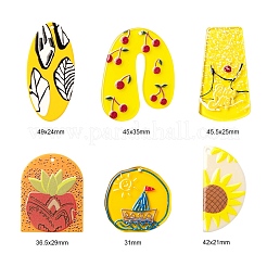 24Pcs 6 Style Cellulose Acetate(Resin) and Acrylic Pendant Sets&nbsp;KY-LS0001-16