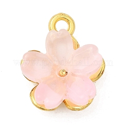 Alloy Glass Charms&nbsp;FIND-C079-05G