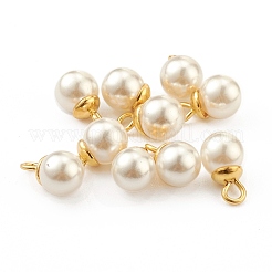 304 Stainless Steel Charms&nbsp;STAS-Z009-02D-G