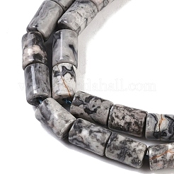Natural Map Stone Beads Strands&nbsp;G-C128-A04-01