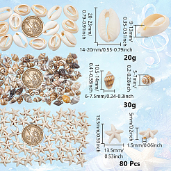 Natural Conch & Cowrie Shell Display Decorations&nbsp;DJEW-NB0001-53