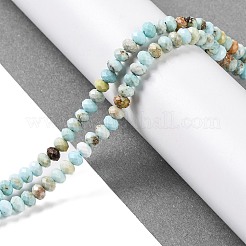 Natural Howlite Beads Strands&nbsp;X-G-H025-03C-09