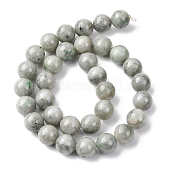 Natural Chinese Jade Beads Strands&nbsp;G-H343-D08-12mm