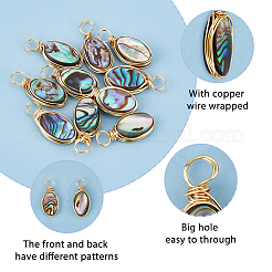 10Pcs Copper Wired Natural Abalone Shell/Paua Shell Pendants&nbsp;PALLOY-FI00001