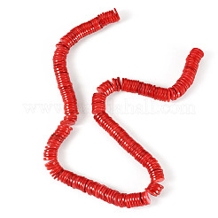 1 Strand Natural Freshwater Shell Beads Strands&nbsp;SHEL-TA0001-35C