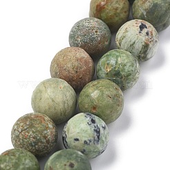 Natural Green Opal Beads Strands&nbsp;G-K209-04B-12mm-A