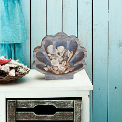 Shell Shape Wooden Jewelry Display Cases with Visible Window&nbsp;ODIS-SP0001-14B