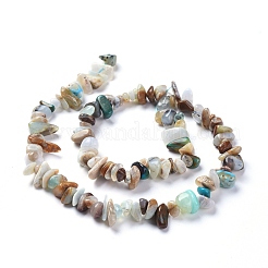 Natural Blue Opal Beads Strands&nbsp;G-L505-27