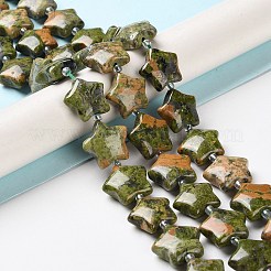 Natural Unakite Beads Strands&nbsp;G-NH0005-014