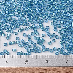MIYUKI Delica Beads&nbsp;X-SEED-J020-DB1709