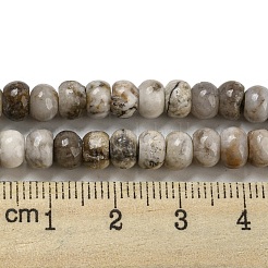 Natural Bamboo Leaf Agate Beads Strands&nbsp;G-H305-A02-01