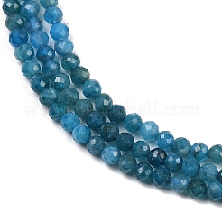 Natural Apatite Beads Strands&nbsp;X-G-E411-36-3mm-01
